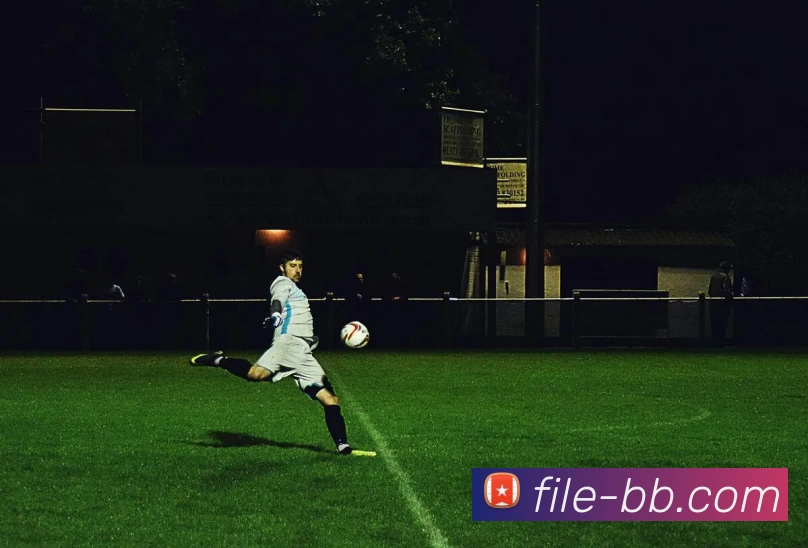 贝博体育服务体系